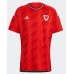 Wales Voetbalkleding Thuisshirt WK 2022 Korte Mouwen